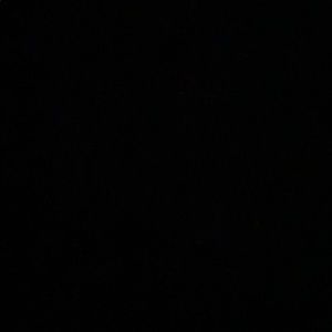 Meet your Posher, Adrienne